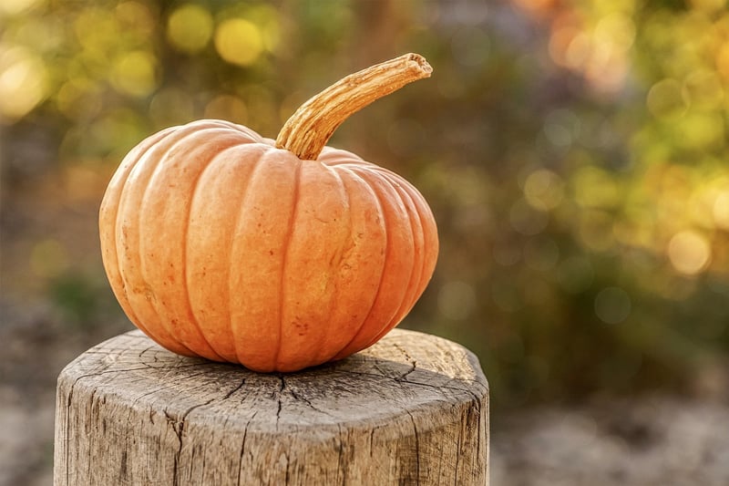 Seasonal Harvests